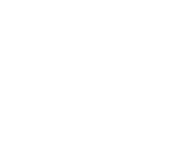 400x300_McClinton_white